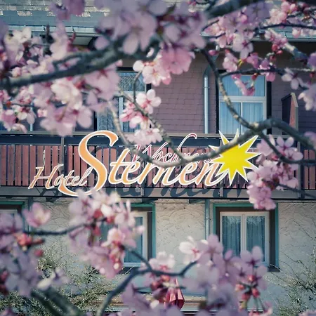 Wochner's Hotel-Sternen Am Schluchsee Hochschwarzwald-3