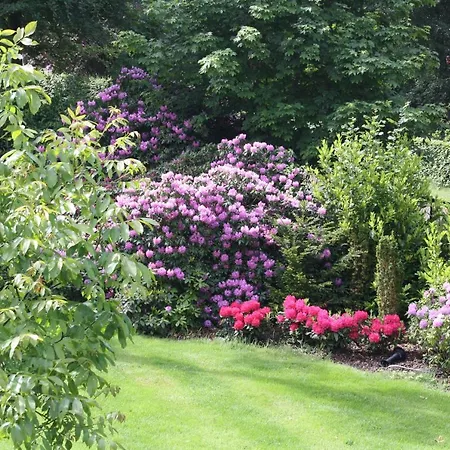 Bed&Breakfast Op 't Leven-2