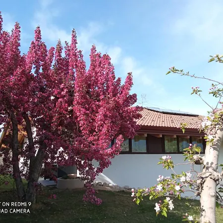 Agritur Deromedi-2