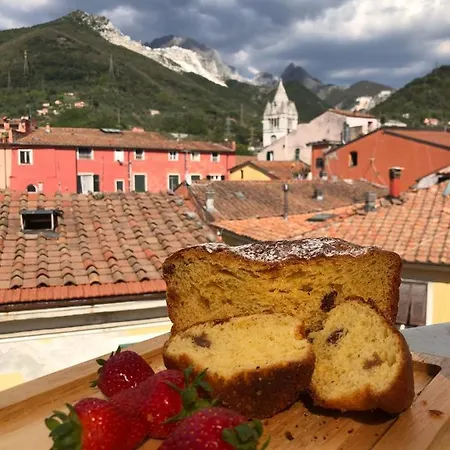 Carrara Bella-2