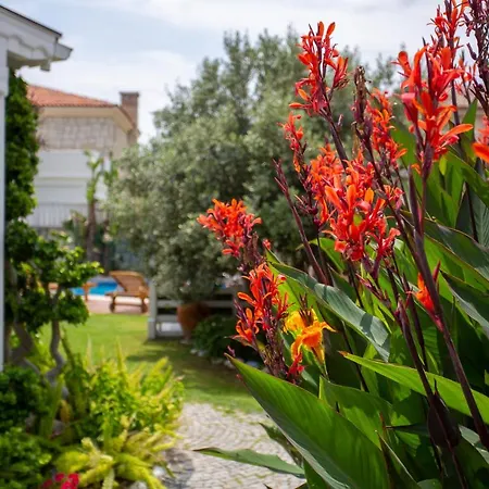 Kokopelli Alacati-2