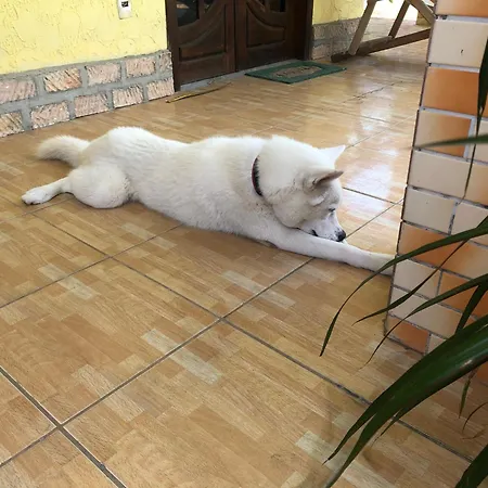 Guest House Lua-3