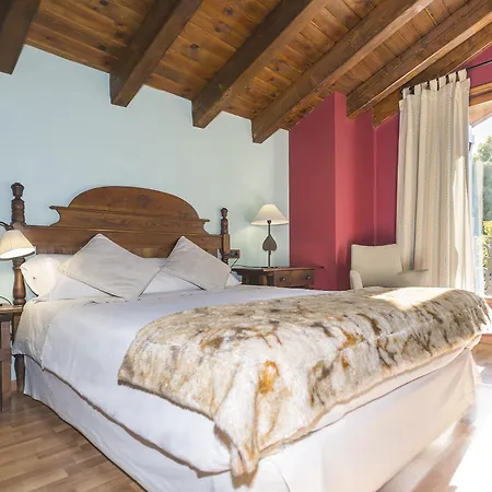 Hotel Casa Cornel-3