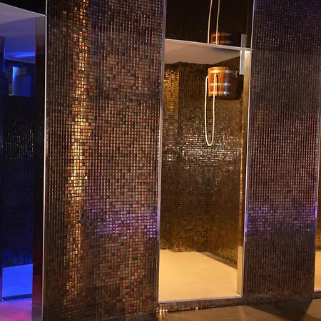 Hotel Spa Acevi Val D'Aran-3