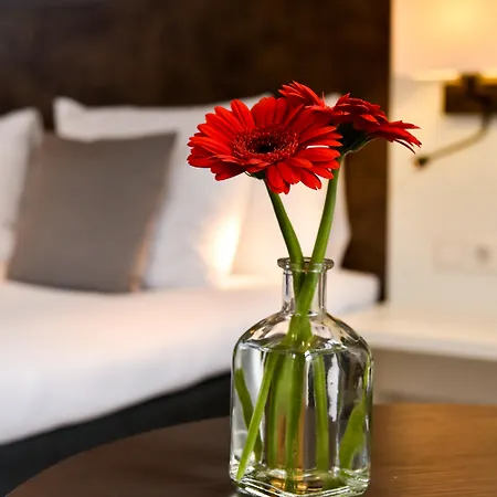 Hotel Amsterdam De Roode Leeuw-2