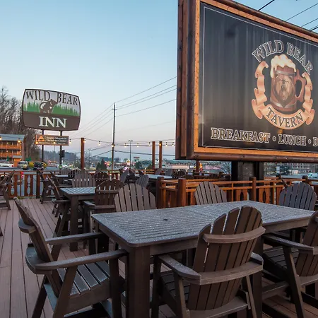 Wild Bear Inn-3
