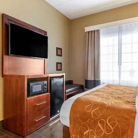 Comfort Suites Grand Rapids South-3