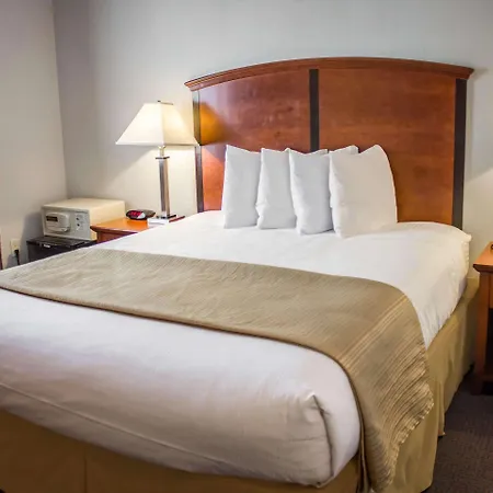 Quality Inn Long Island City - Queensboro Bridge-3