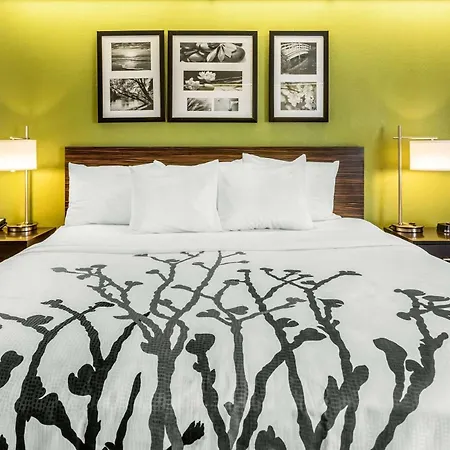 Sleep Inn Charleston - West Ashley-3