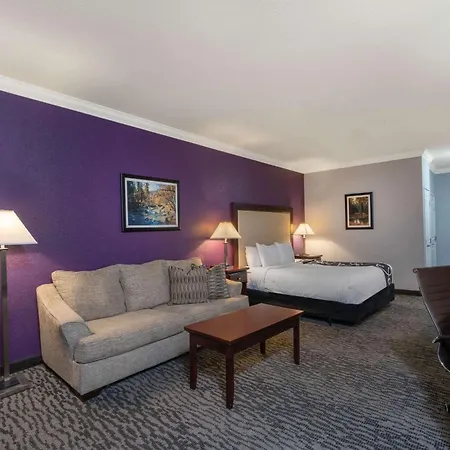 La Quinta Inn & Suites By Wyndham Loveland Estes Park-2