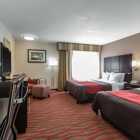 Comfort Inn Los Angeles Near Hollywood-3
