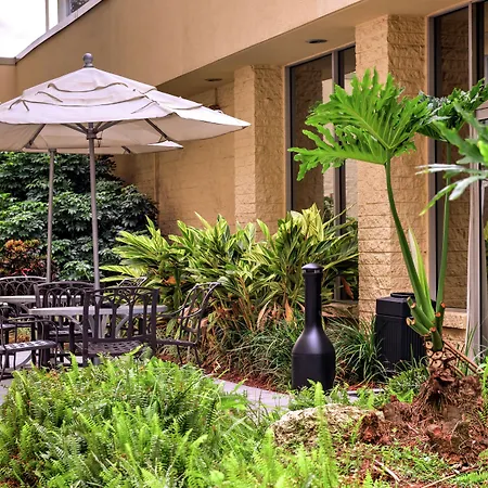 Doubletree By Hilton Hotel Tampa Airport-Westshore-3