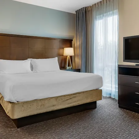 Staybridge Suites St. Petersburg Fl By Ihg-3