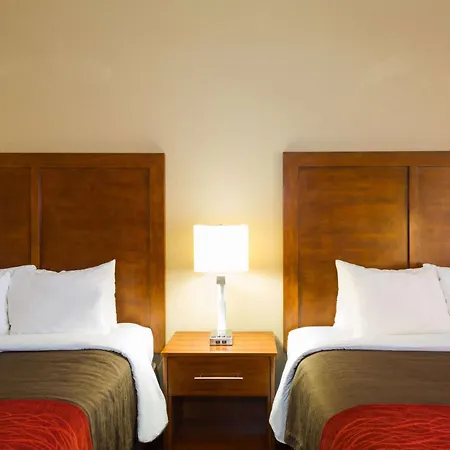 Baymont By Wyndham Bonita Springs-2