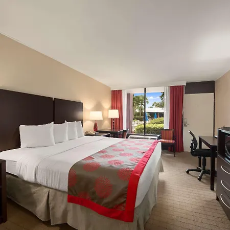 Collins Hotel Naples-2