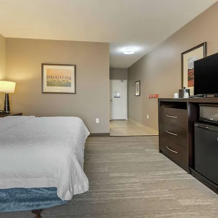 Hampton Inn Alamosa-3