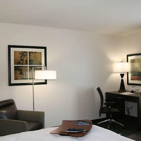 Hampton Inn Anderson/Alliance Business Park-3
