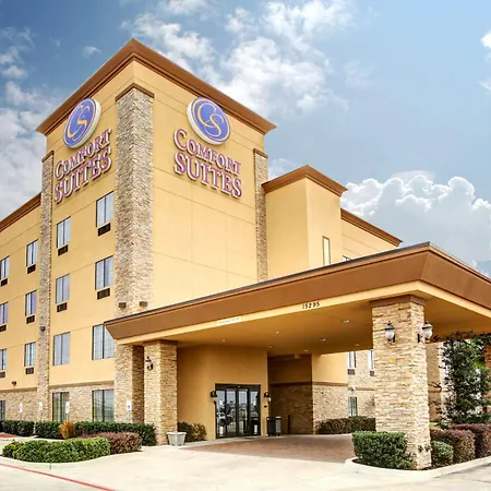 Comfort Suites Buda - Austin South-3