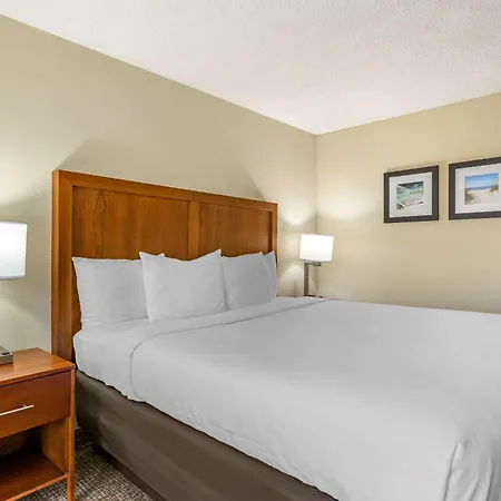 Comfort Inn & Suites St Pete - Clearwater International Airport-3