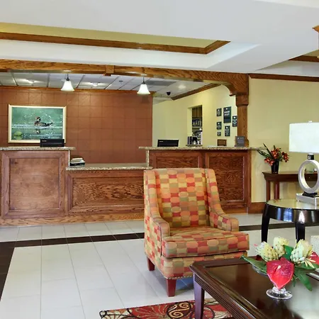 Homewood Suites By Hilton Houston-Woodlands-Shenandoah-3