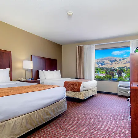 Comfort Inn Silicon Valley East-2