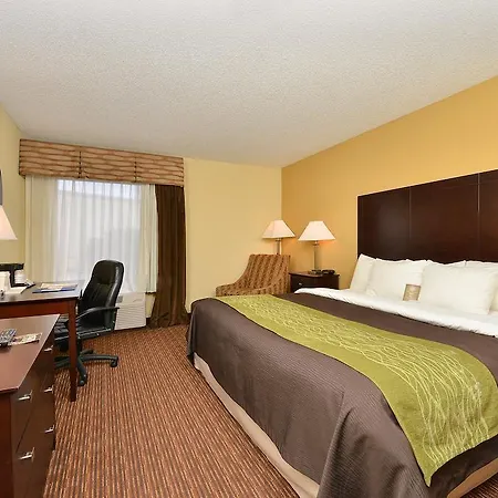Comfort Inn & Suites-3