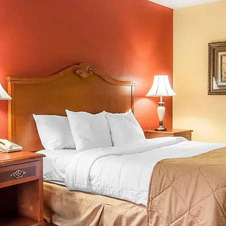 Clarion Inn & Suites University Center-3