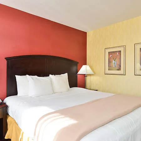 Lex View Inn At Jfk Airport-3