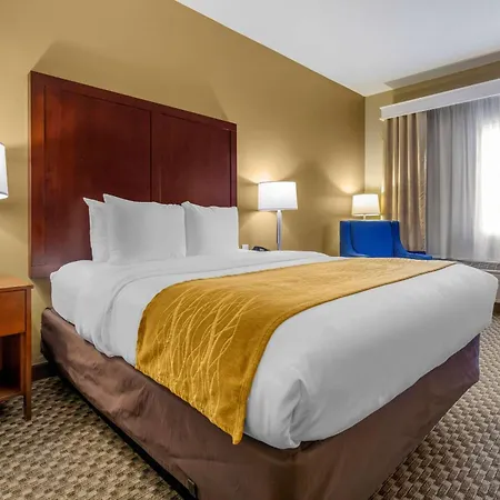 Comfort Inn Auburn - Seattle-3