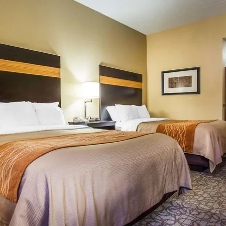 Comfort Inn & Suites At Stone Mountain-3