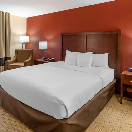 Comfort Inn Redwood City-3