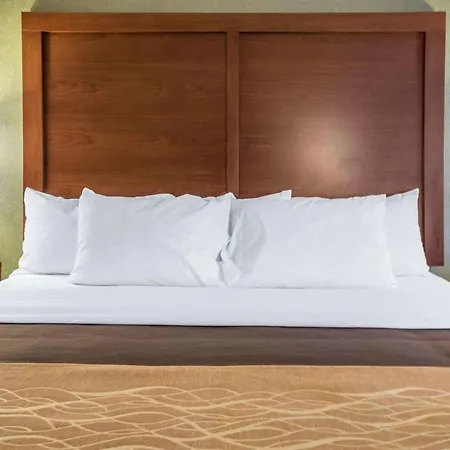 Comfort Inn Winchester-2