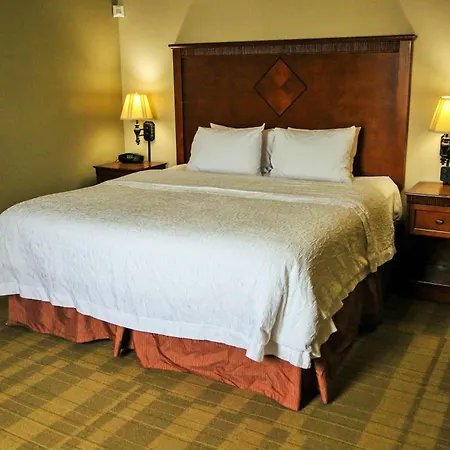 Hampton Inn & Suites Mccomb-3