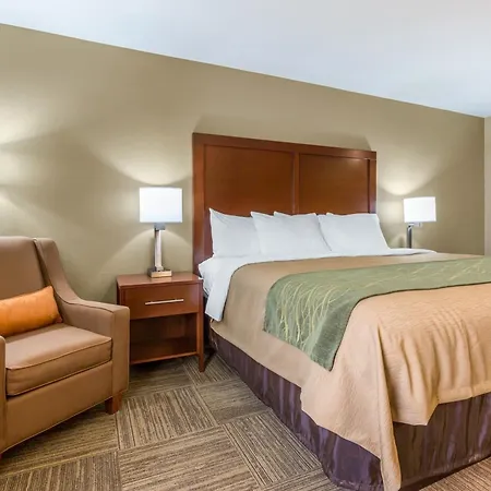 Comfort Inn Collinsville Near St Louis-3