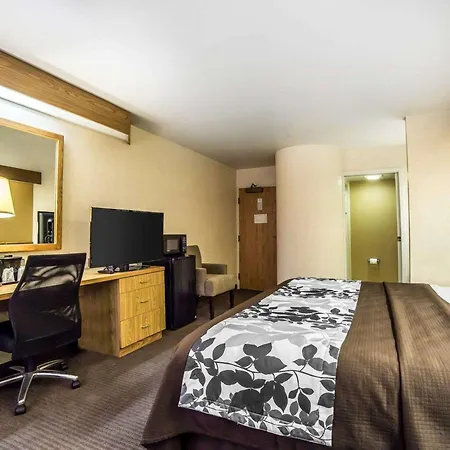 Quality Inn Moab Slickrock Area-3
