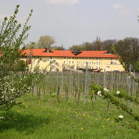 MAXX by Steigenberger Deidesheim-3