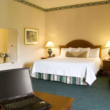 Hilton Garden Inn Saint Charles-3