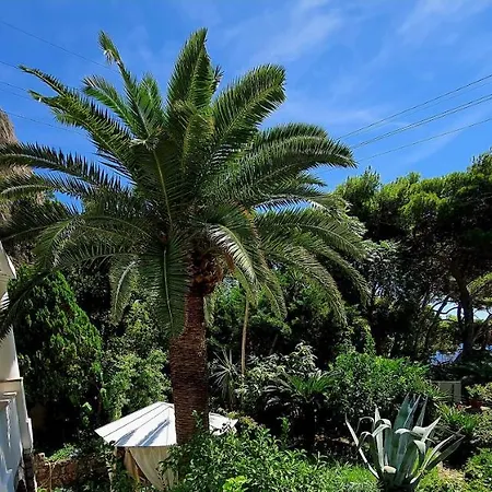 Hotel Nautilus-3