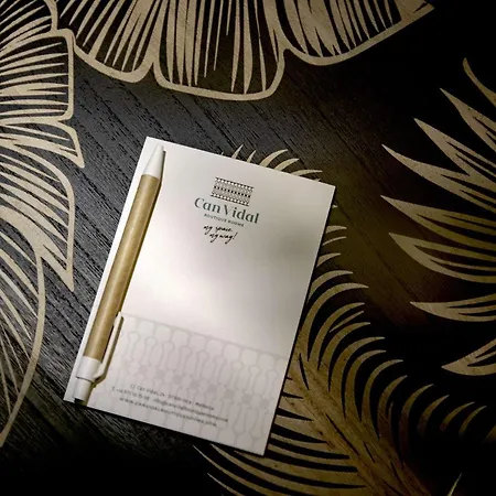 Can Vidal Boutique Rooms-3
