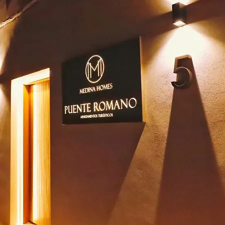 Medina Homes Puente Romano-2