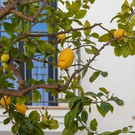 Opuntia Hotel Boutique-3
