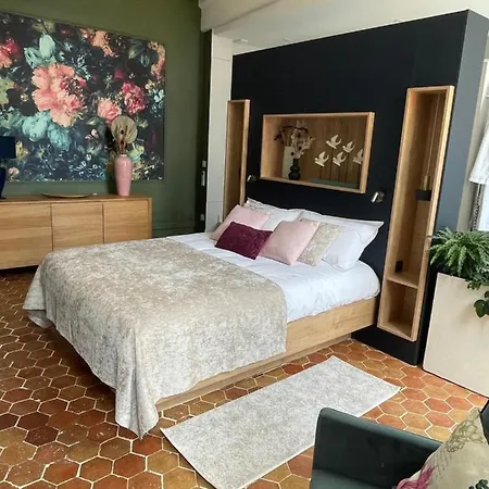 Suite avec Spa Quartier Cathédrale-3