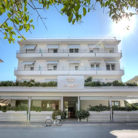 Hotel La Pineta-3