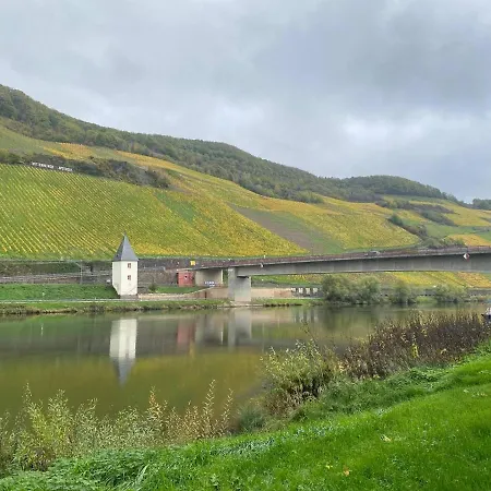 Hotel Krone Riesling-2
