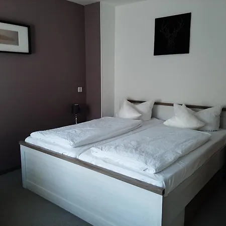 Berghotel-Willingen-2