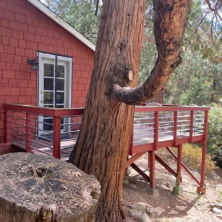 Silver Pines Lodge-3
