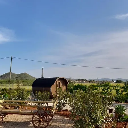 B&B Finca La Manchica-2