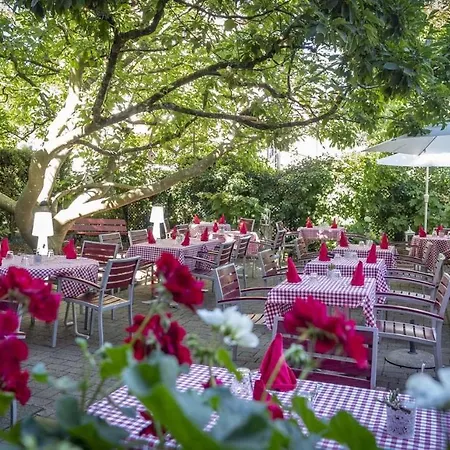 Hotel Restaurant Aux Sapins-3