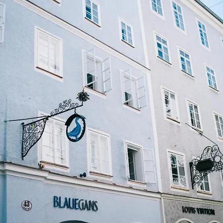 artHotel Blaue Gans-2