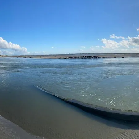 Coté Dune-3